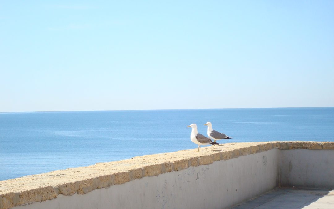 Verhandeln auf Augenhöhe
