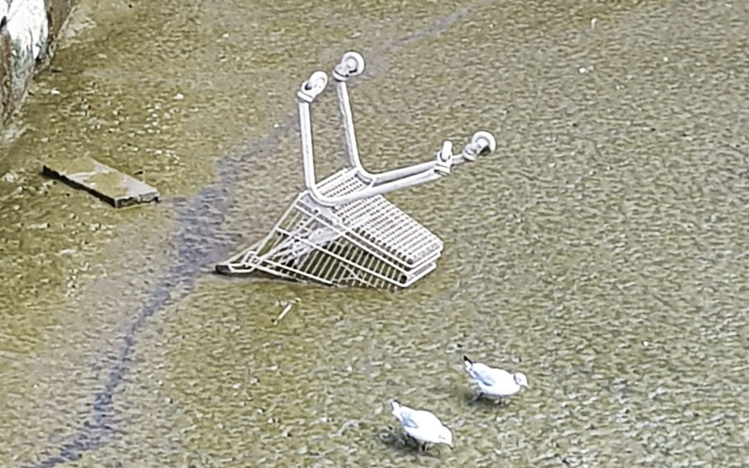 Sind die fetten Jahre vorbei?